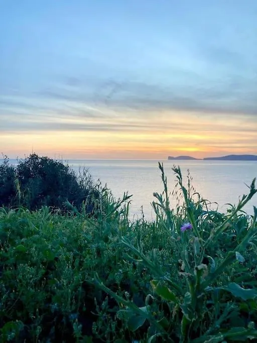 Apartment Trilocale In Seminterrato A 150Mt Da Spiaggia Lido Alghero Italy
