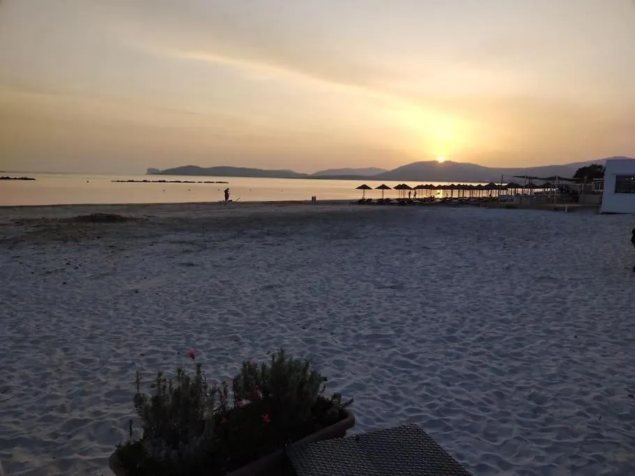 Trilocale In Seminterrato A 150Mt Da Spiaggia Lido Alghero